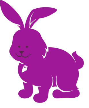 purple rabbit