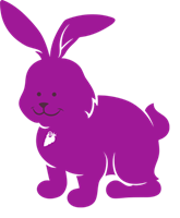 purple rabbit