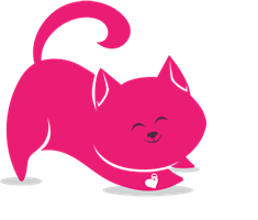 pink cat